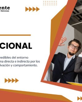 208. DISA - Clima Organizacional