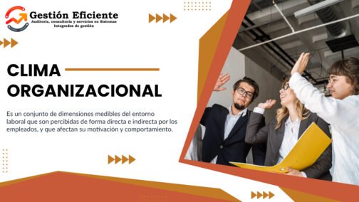 208. DISA - Clima Organizacional