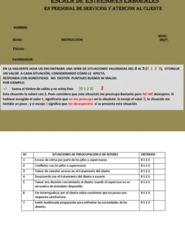 269. ESCALA DE ESTRESORES LABORALES - Mithely