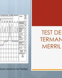 500. Prueba de Terman-Merrill