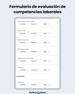 729. C-SYS - Sistema de calificación de competencias