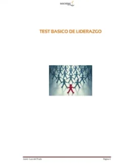 789. GRV - TEST DE LIDERAZGO GRV