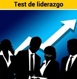 811. LIDERAZGO ORGANIZACIONAL + AUTOMATIZADO